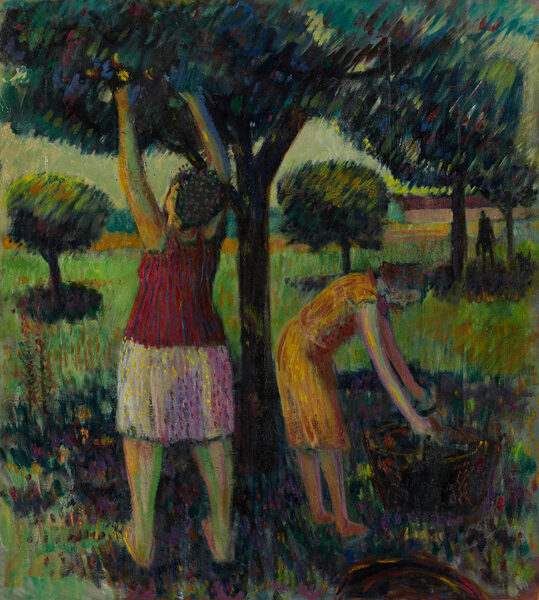 Äppelplockerskor — Skördefest